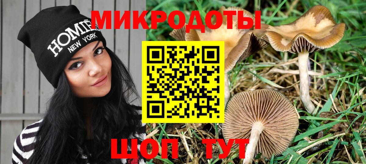 Псилоцибиновые грибы ЛСД Сатка