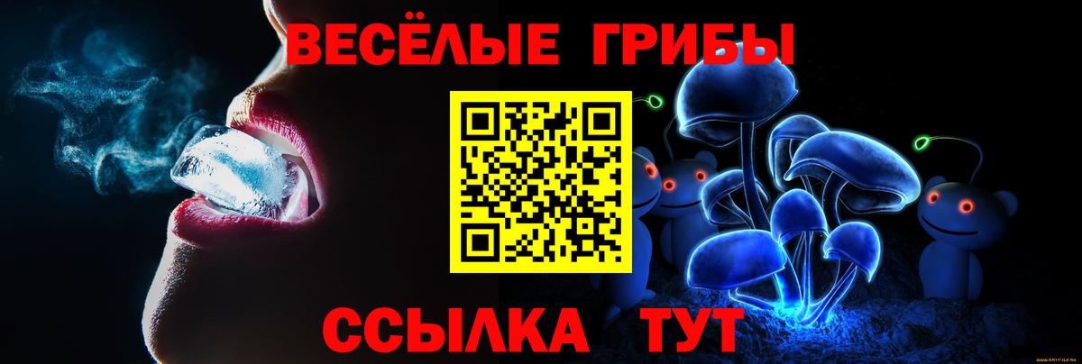 купить закладку  Вход с VPN  Сатка  Псилоцибиновые грибы мицелий  Псилоцибиновые грибы Magic Shrooms 